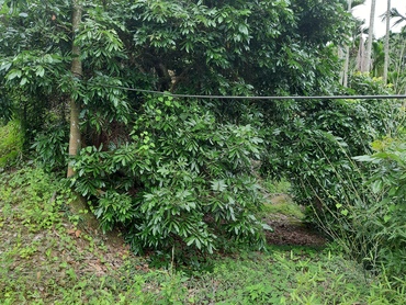 wzӹq 0912-070-310