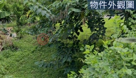 Uƹi[ݸԲӸ:ļh L